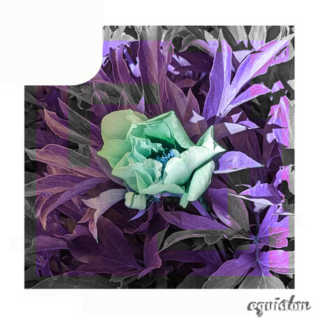 change and i, too A picture of a teal flower surrounded by purple, digitally distorted leaves on a white background.